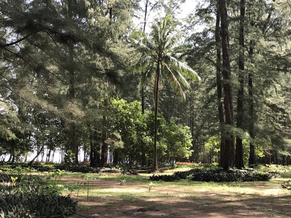 Coconut Bungalow Nai Yang Экстерьер фото