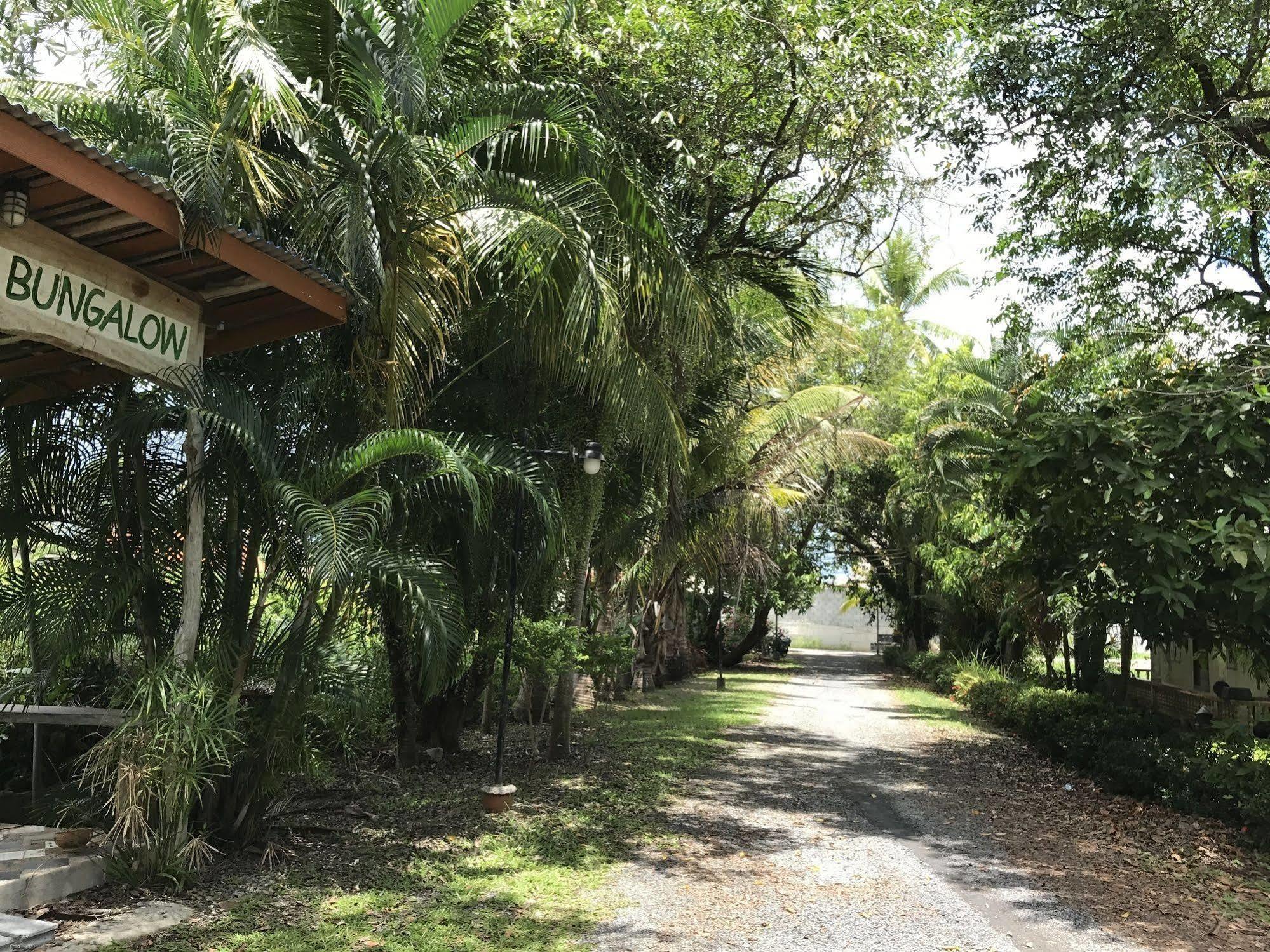 Coconut Bungalow Nai Yang Экстерьер фото